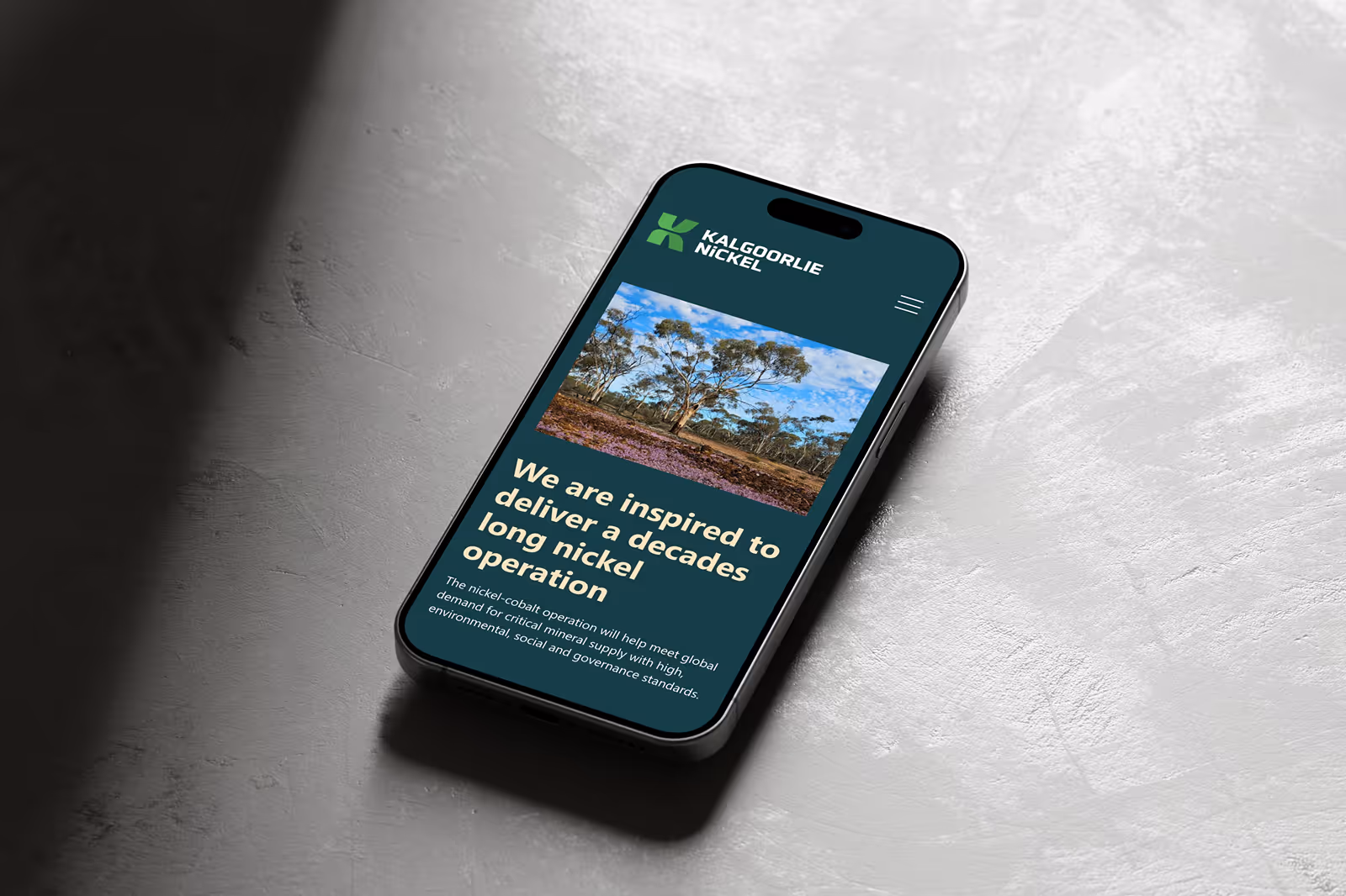 Kalgoorlie Nickel project in collaboration with Scotts